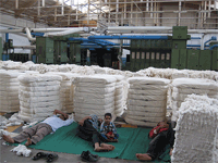 2007 - Mahalla7.gif