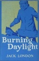 BurningDaylight.jpg